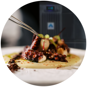 adande and food octopus v2 circle 2